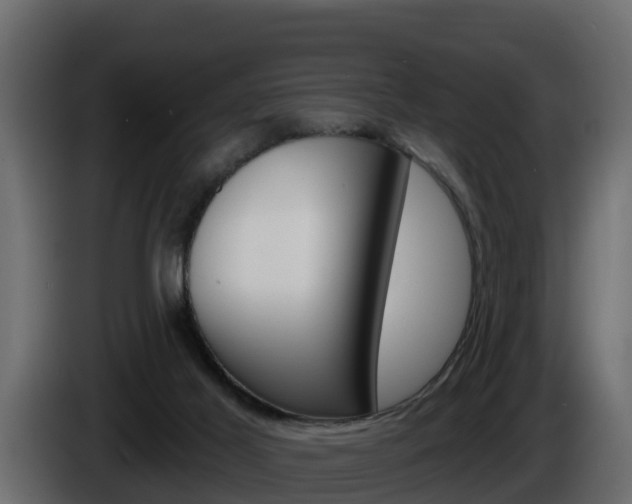 X0000086020021200703230942