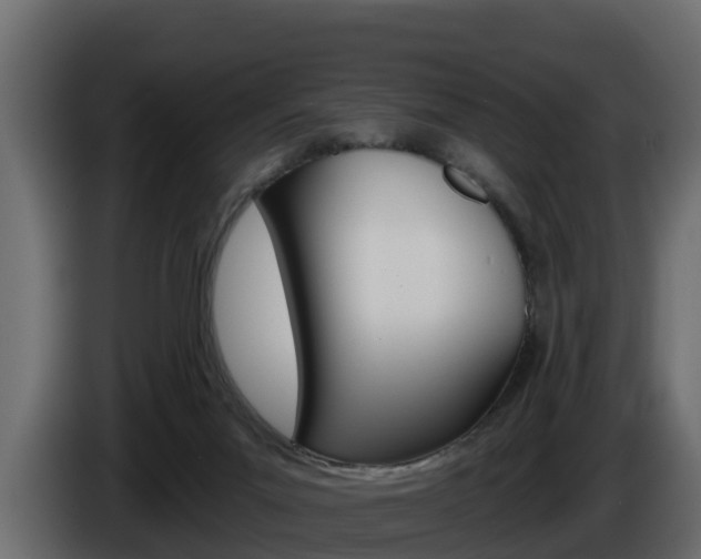 X0000086020023200703230942