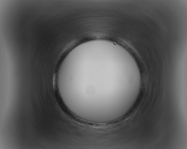X0000086020024200703230942