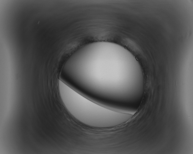 X0000086020025200703230942