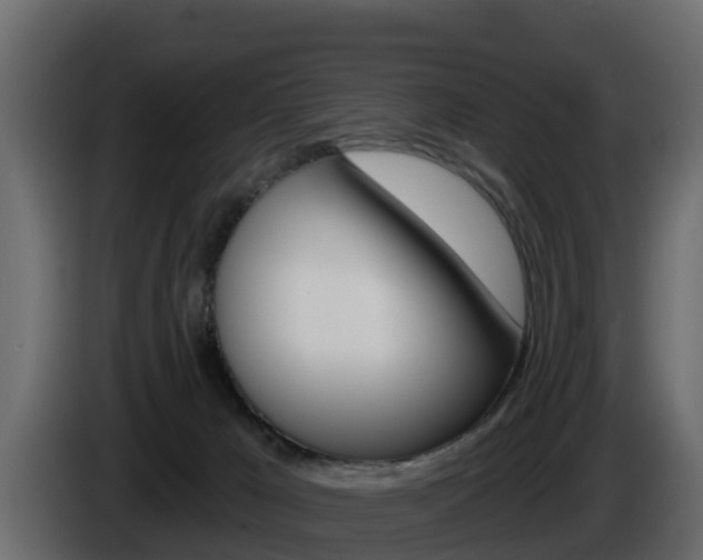 X0000086020029200703230942
