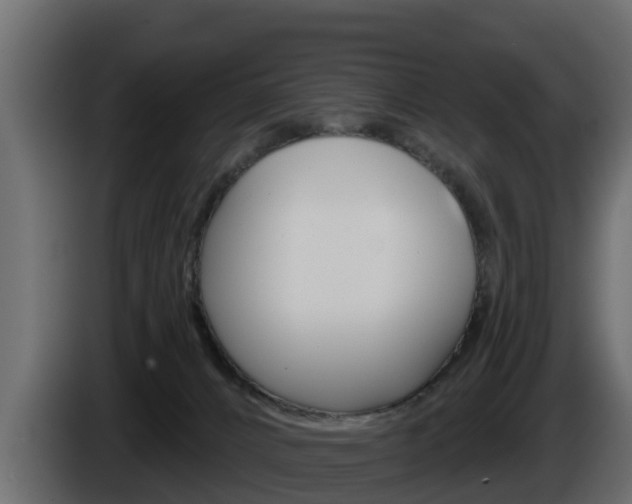 X0000086020032200703230942