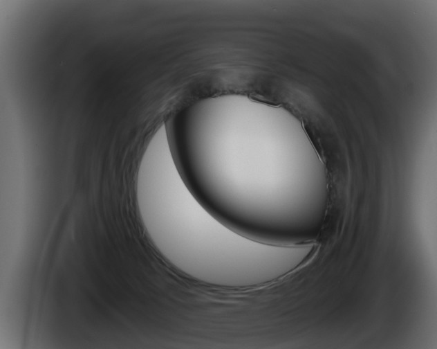 X0000086020033200703230942