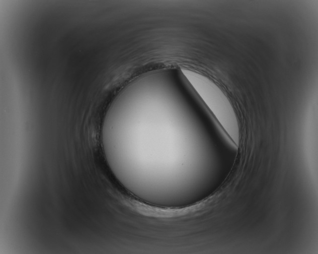 X0000086020039200703230942