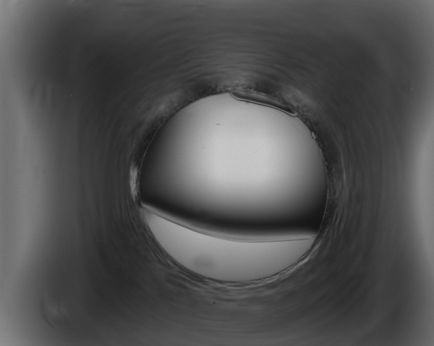 X0000086020041200703230942