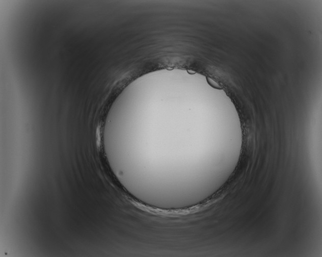 X0000086020042200703230942