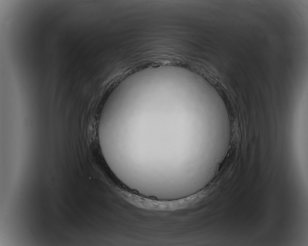 X0000086020043200703230942