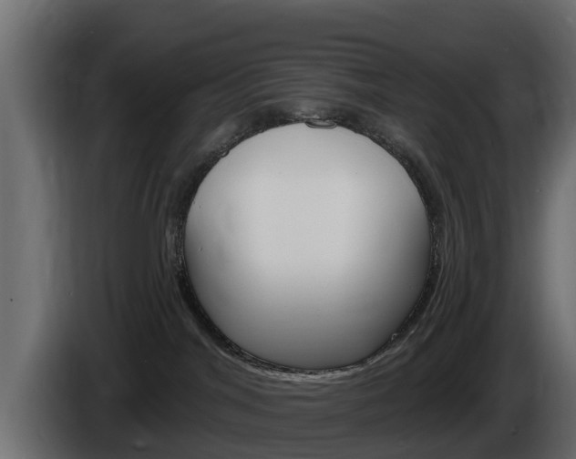 X0000086020044200703230942