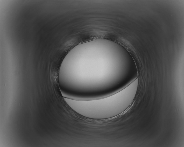 X0000086020045200703230942