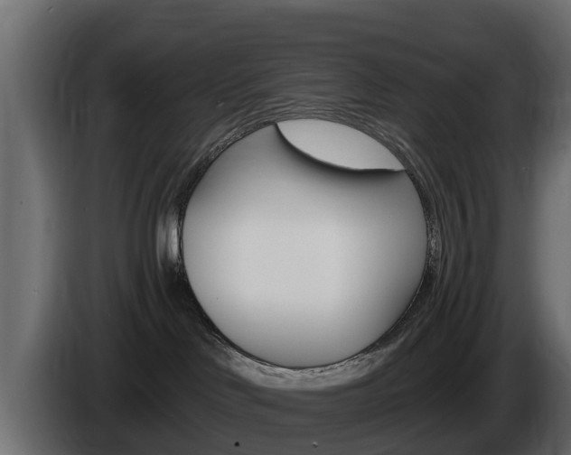 X0000086020046200703230942