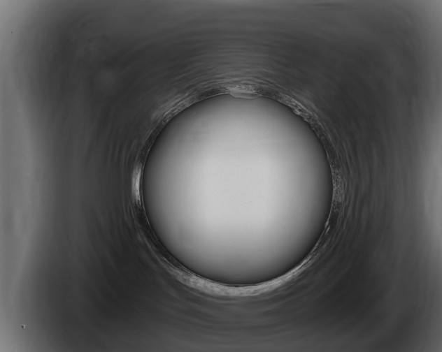 X0000086020047200703230942