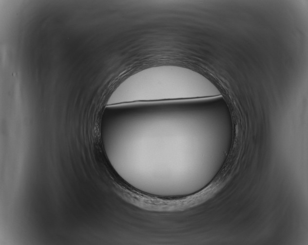 X0000086020048200703230942
