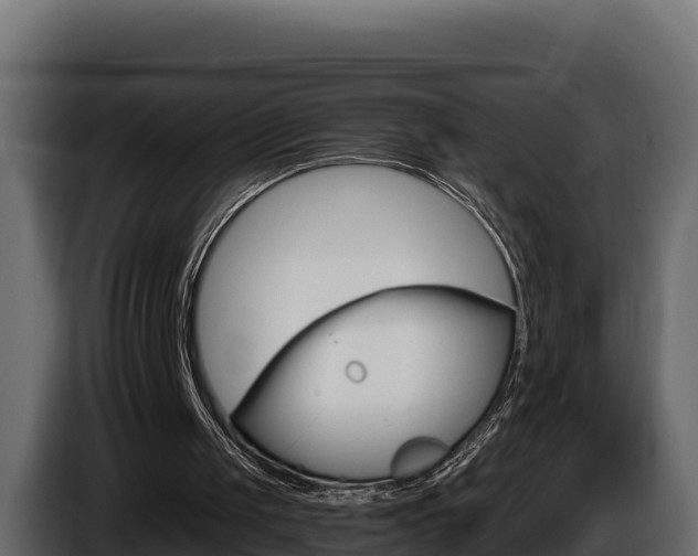 X0000086020049200703230941