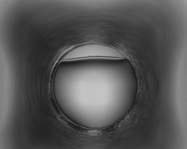 X0000086020050200703230941