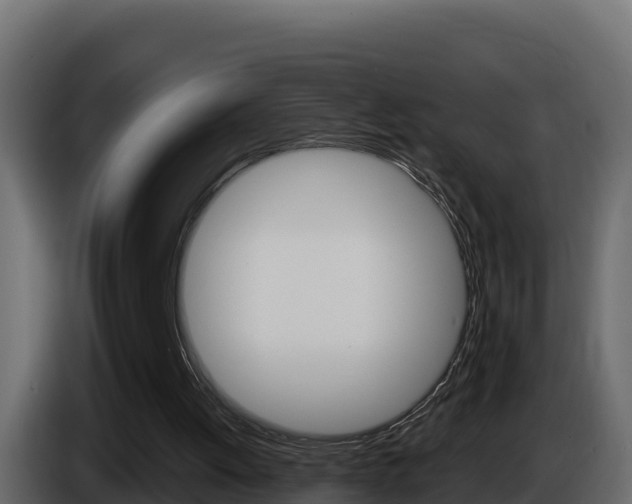 X0000086020052200703230941