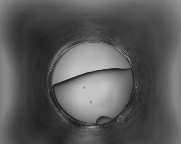 X0000086020053200703230941