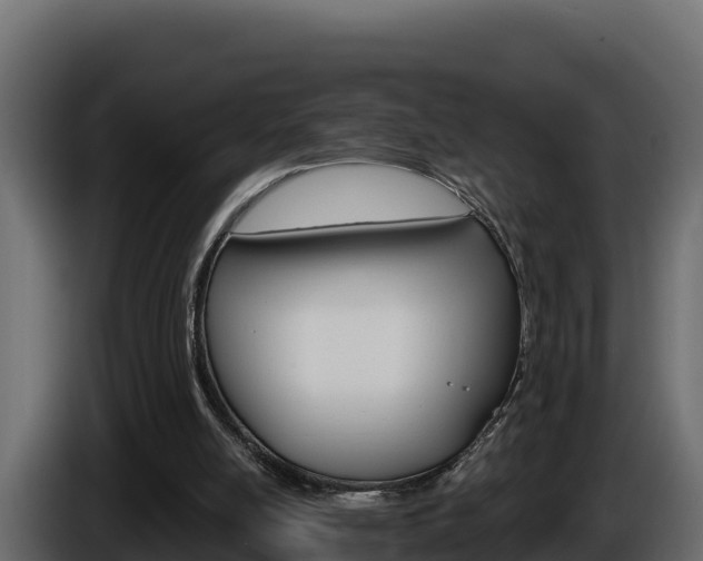 X0000086020054200703230941
