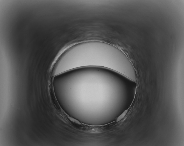 X0000086020056200703230941
