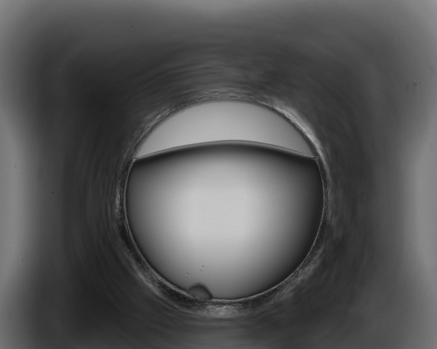 X0000086020057200703230941