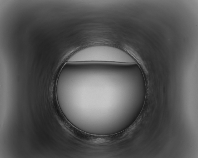 X0000086020058200703230941