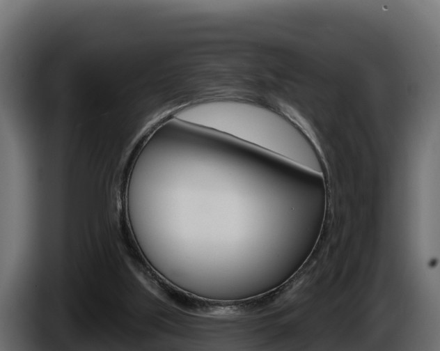 X0000086020059200703230941