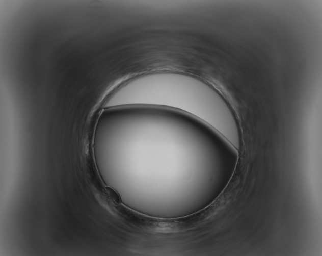 X0000086020060200703230941