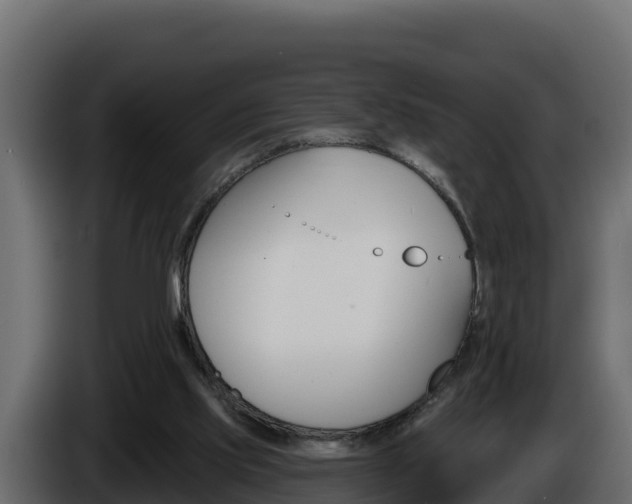 X0000086020061200703230941