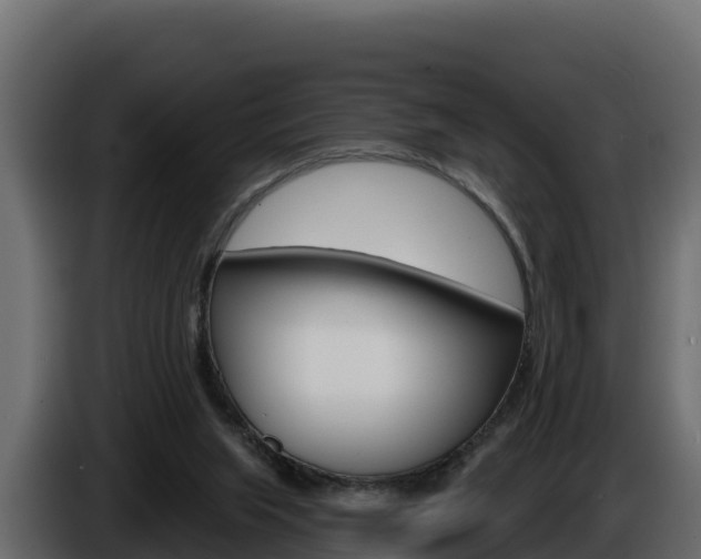 X0000086020063200703230942