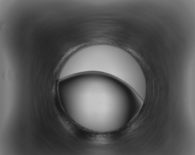 X0000086020064200703230942