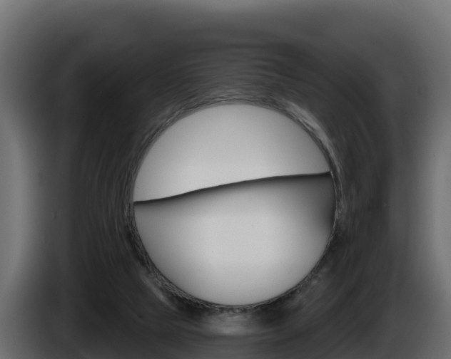 X0000086020065200703230942