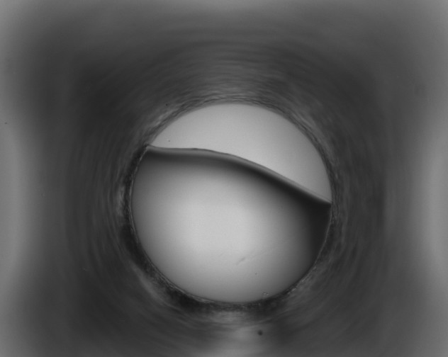 X0000086020066200703230942