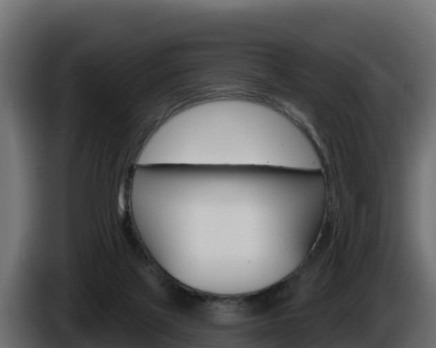 X0000086020069200703230942