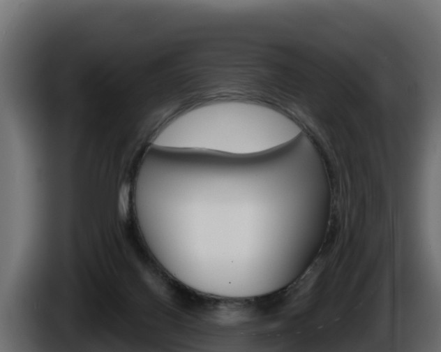 X0000086020070200703230942