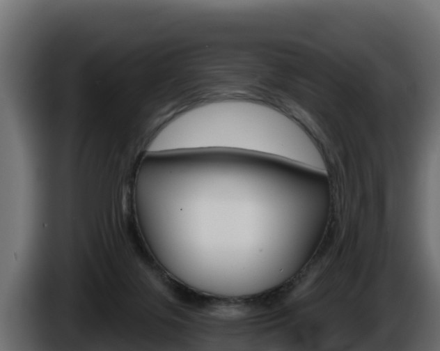 X0000086020071200703230942