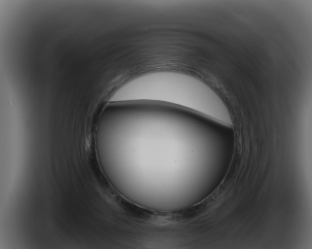 X0000086020072200703230942