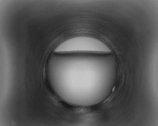 X0000086020074200703230942