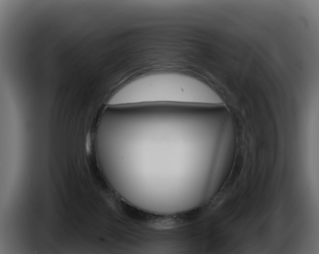 X0000086020075200703230942