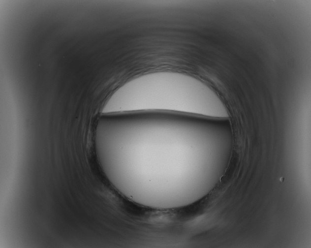 X0000086020077200703230942