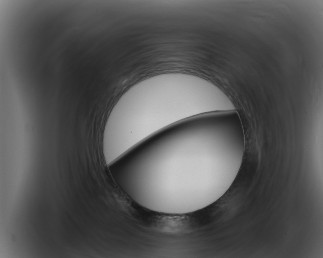 X0000086020089200703230942