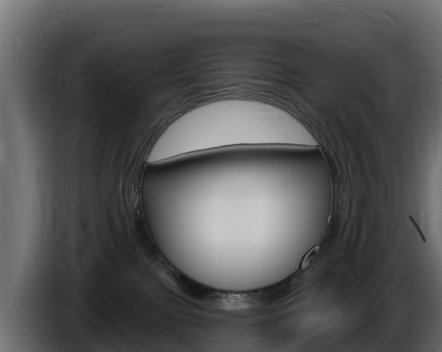 X0000086020091200703230942
