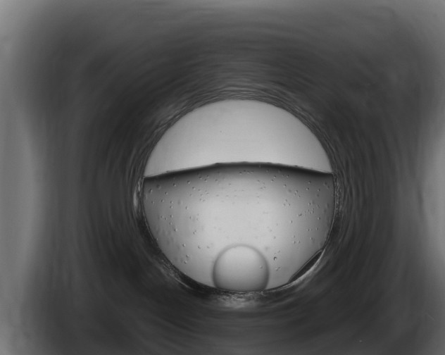 X0000086020094200703230942