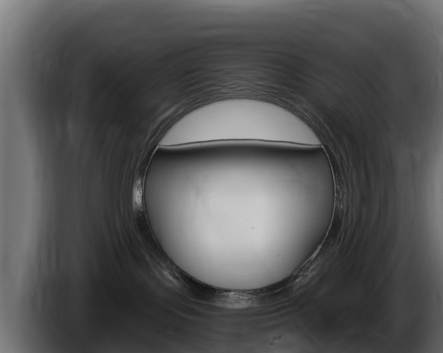 X0000086020095200703230942