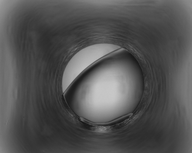 X0000086020096200703230942