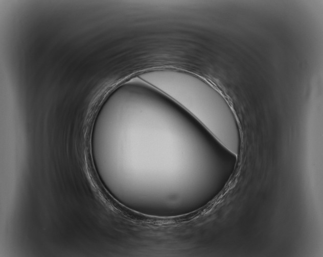 X0000086020097200703230941