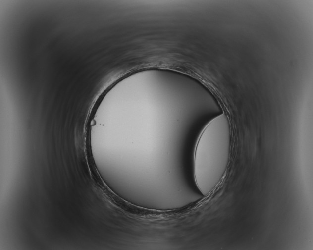 X0000086020100200703230941