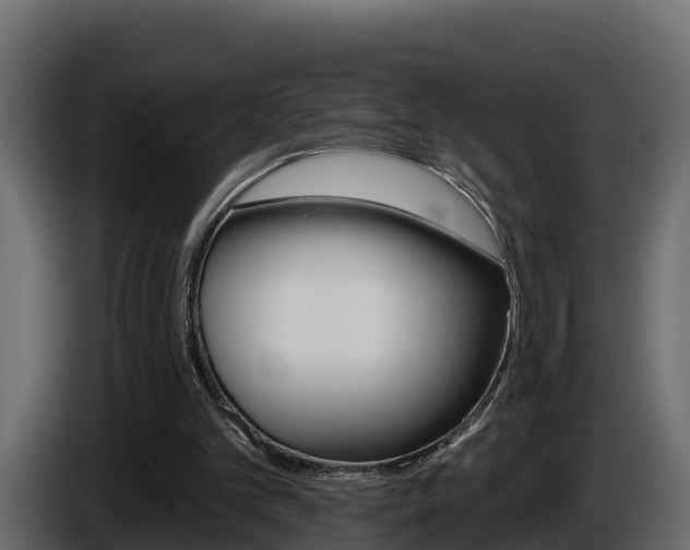 X0000086020101200703230941