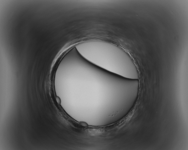 X0000086020102200703230941