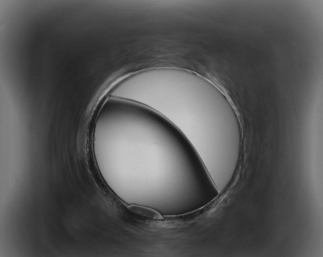 X0000086020103200703230941