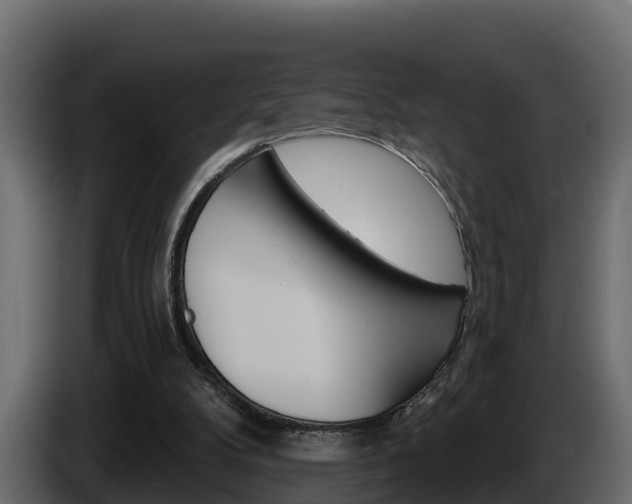 X0000086020104200703230941