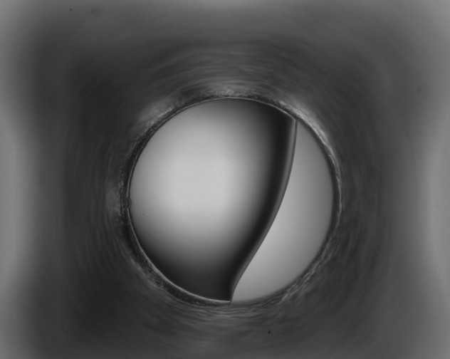 X0000086020105200703230941